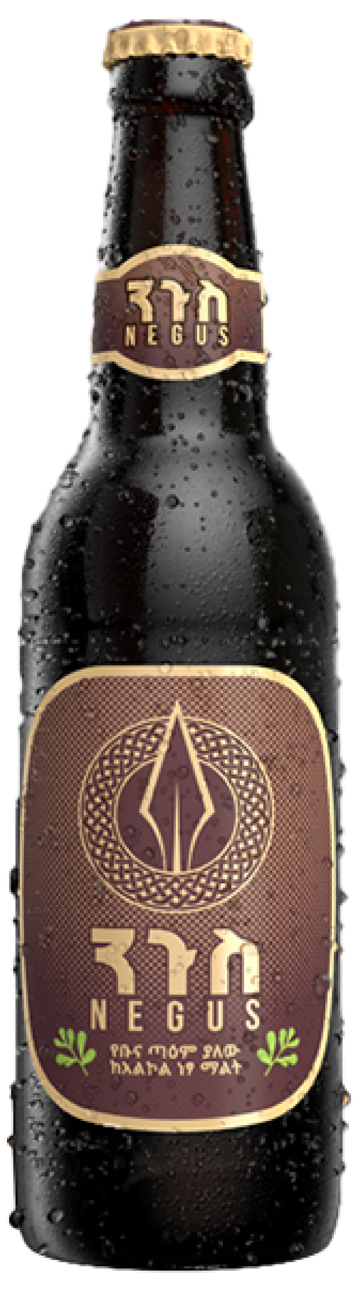 DES Family Fest Celebration